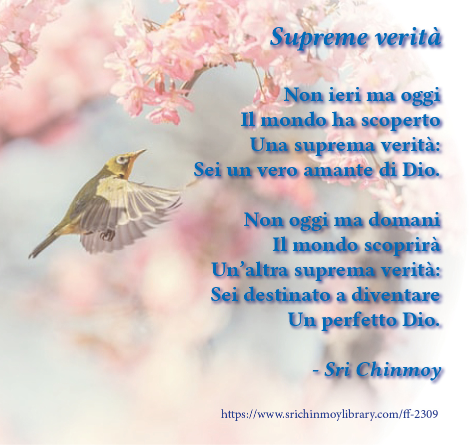 Aforismi Sri Chinmoy Meditazione